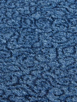 Aktiv Colour