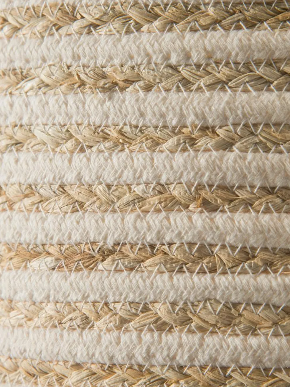 Basket Willow