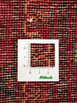 Belutsch