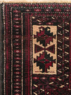 Belutsch