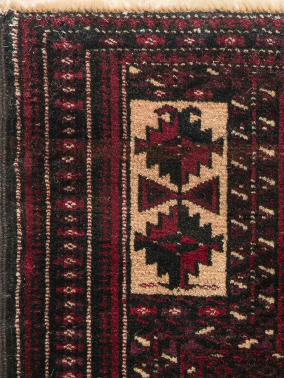 Belutsch