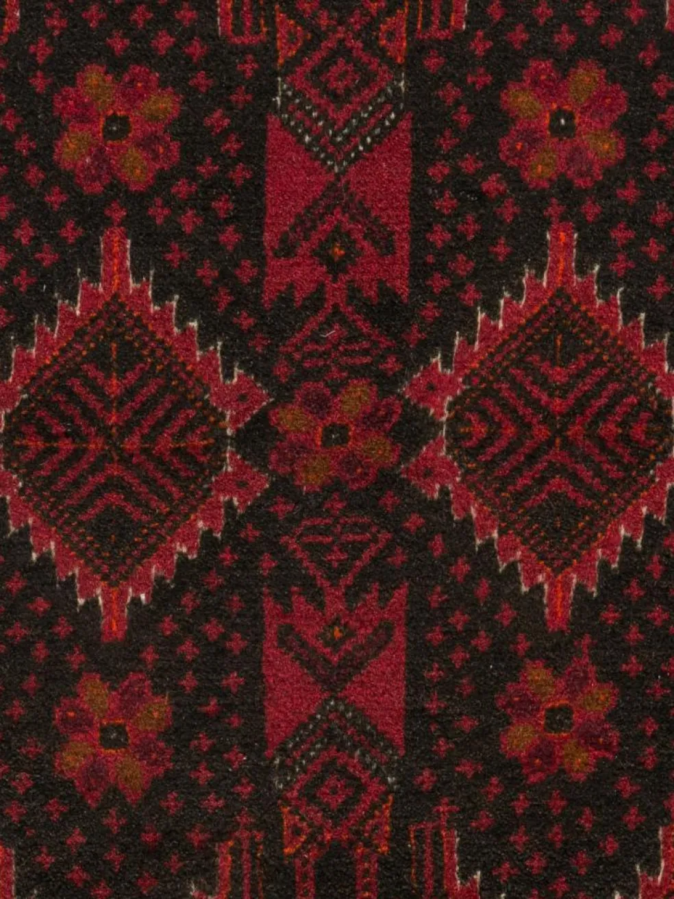 Belutsch