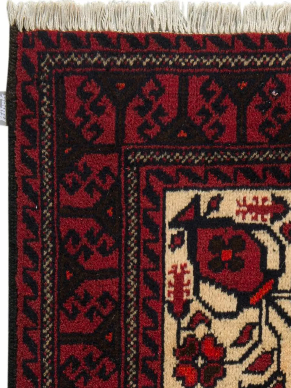 Belutsch