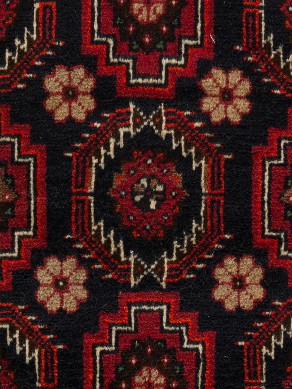 Belutsch