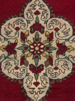 Belutsch