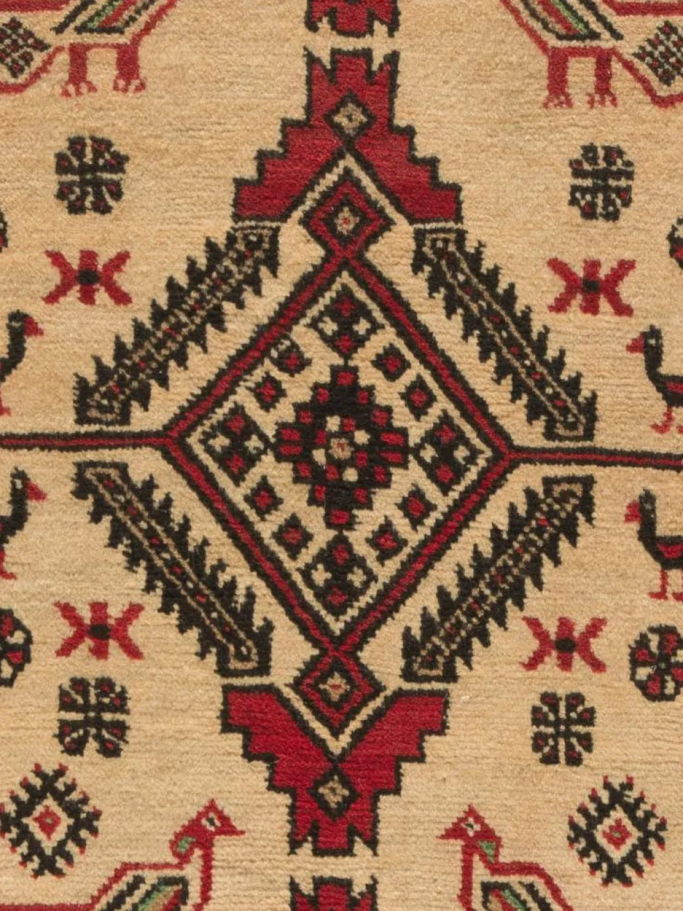 Belutsch