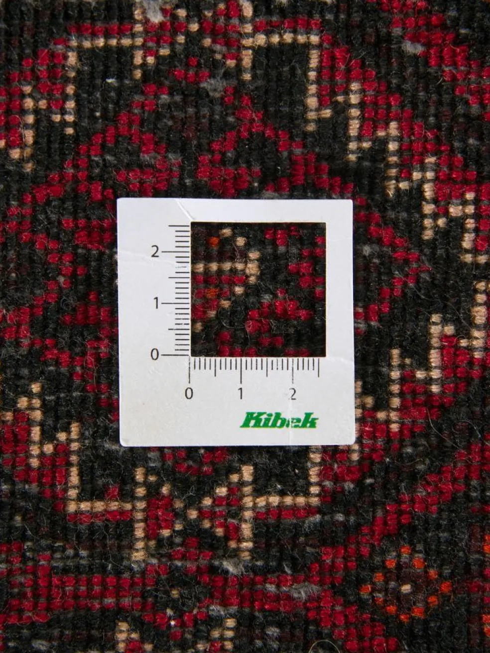 Belutsch