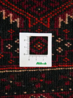 Belutsch