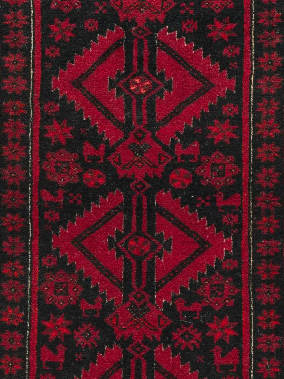 Belutsch