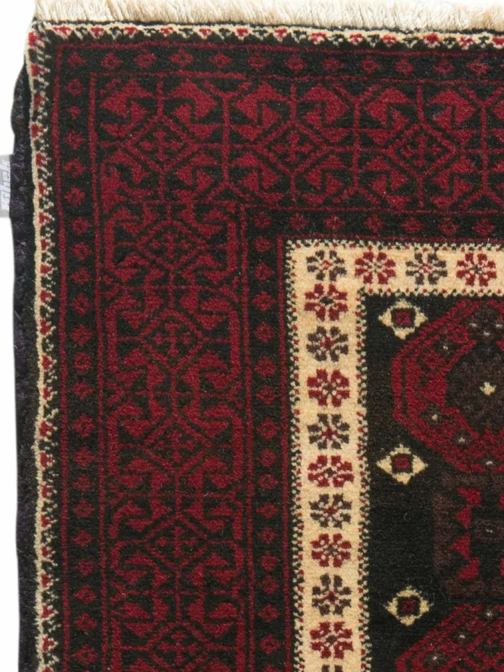 Belutsch