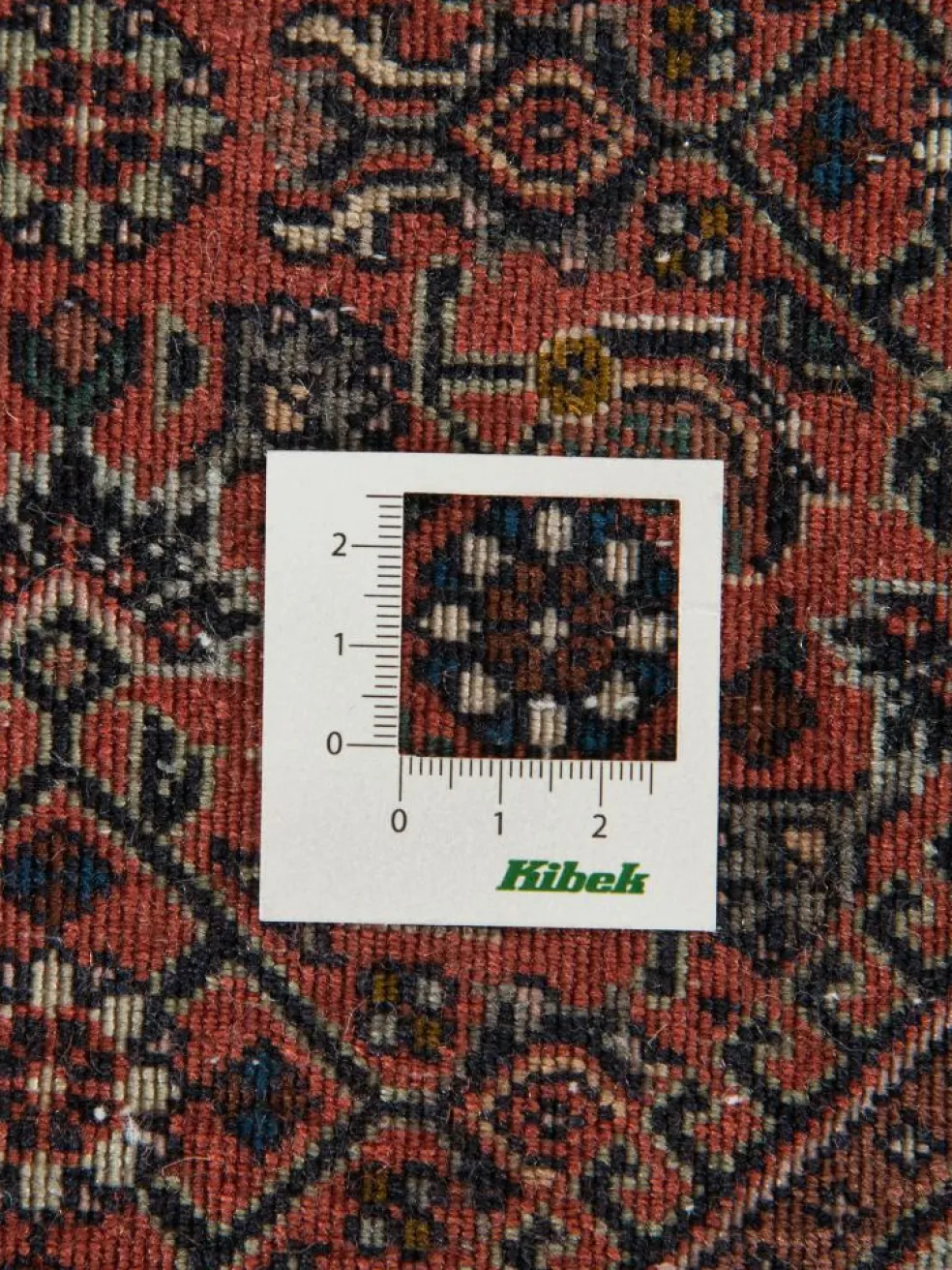 Bidjar Tekab