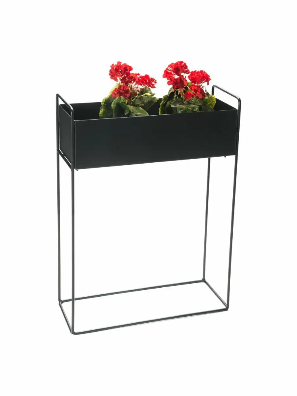 Blumenkasten