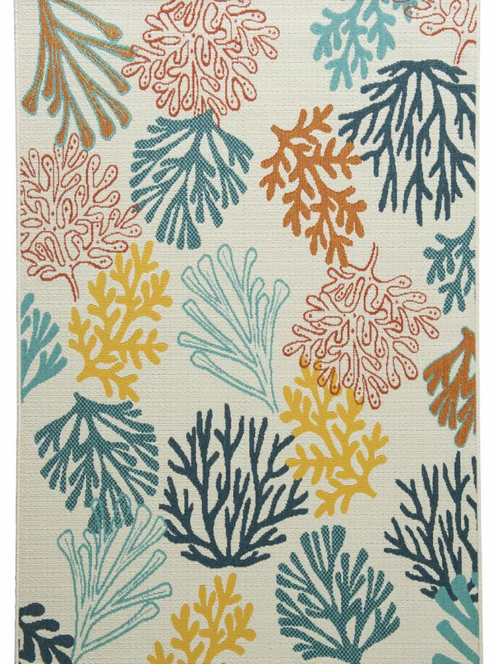 Coral Coast