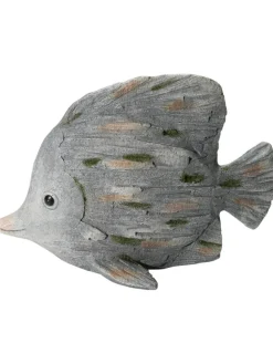 Fisch Wanda