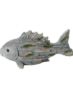 Fisch Willi