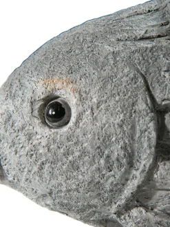 Fisch Willi