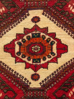 Gashgai