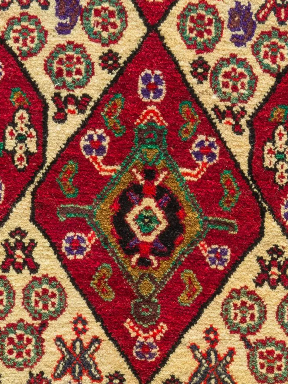 Gashgai