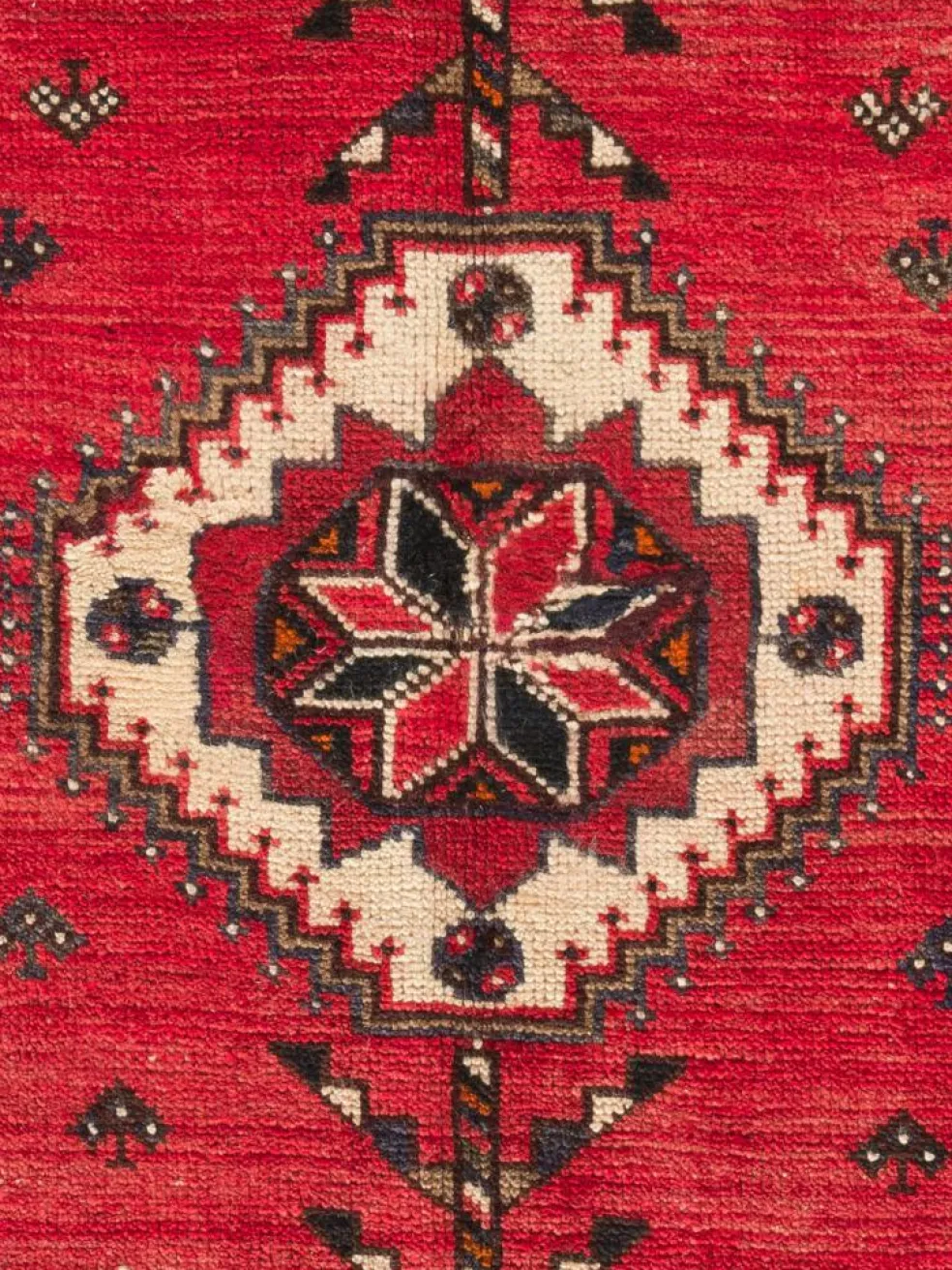 Gashgai