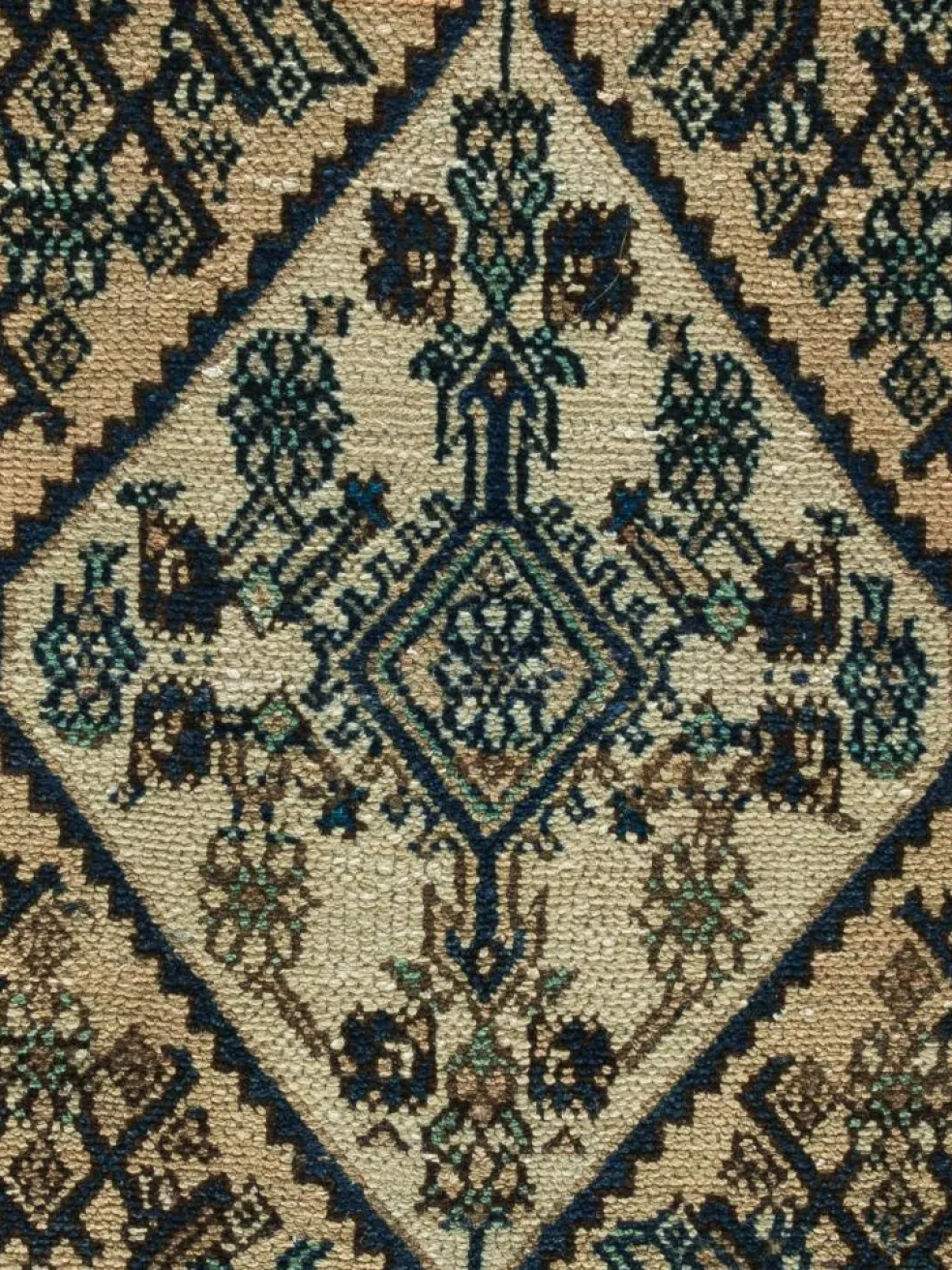 Hamadan Vintage