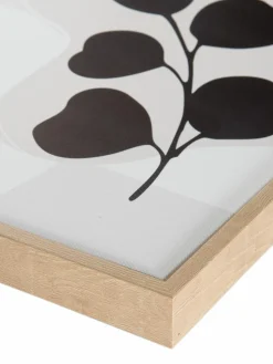 Hoja