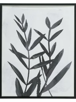 Kitala