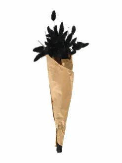 Lagurus