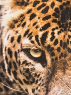 Leopard im Gras