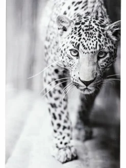 Leopard Watch