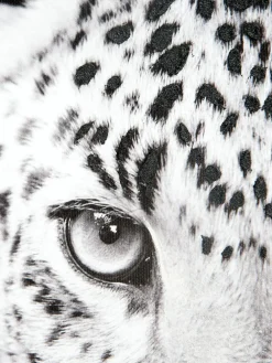 Leopard Watch