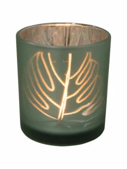 Monstera Licht