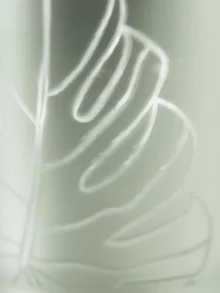 Monstera Licht