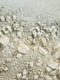 Möwen am Strand