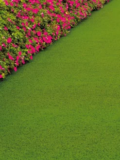 Naturale Green