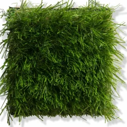 Naturale Green