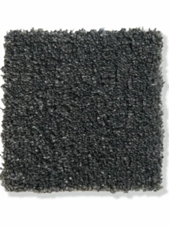 Oceano