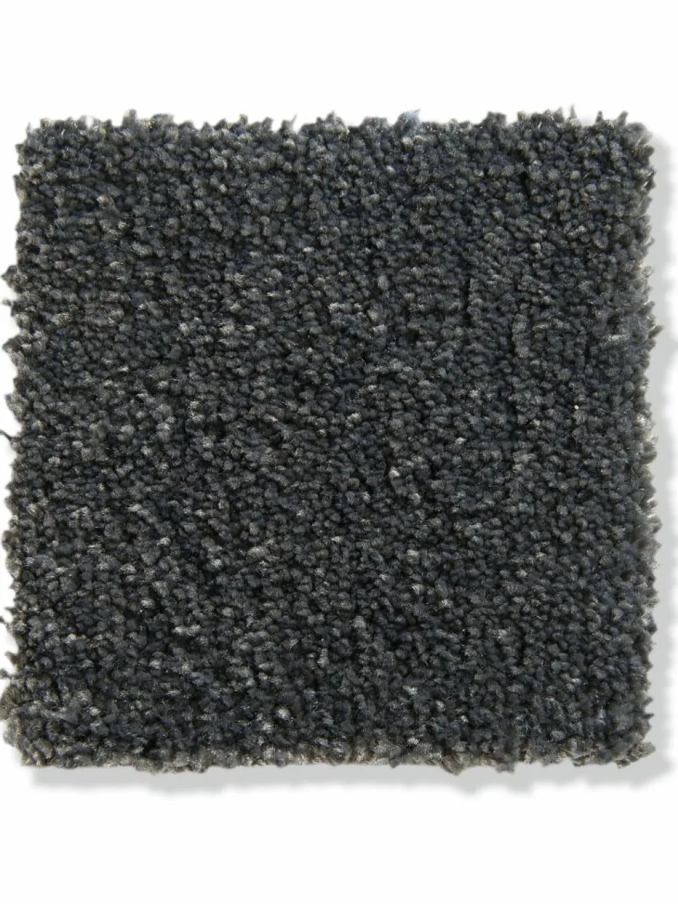 Oceano