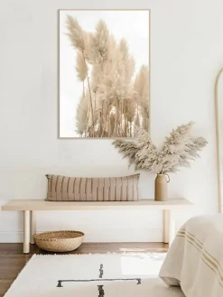 Pampas Para