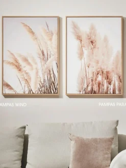 Pampas Para