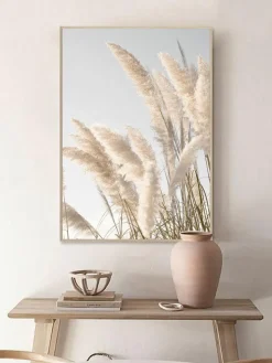 Pampas Wind