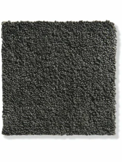 Parma