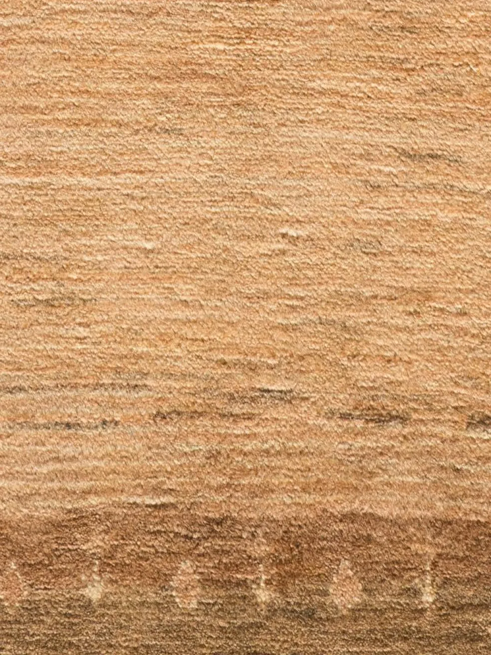 Persischer Loribaff