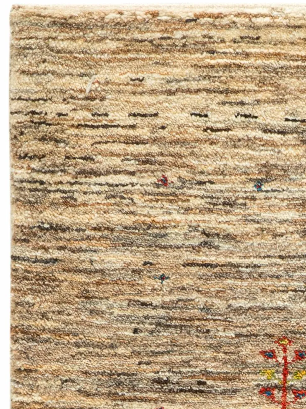 Persischer Loribaff