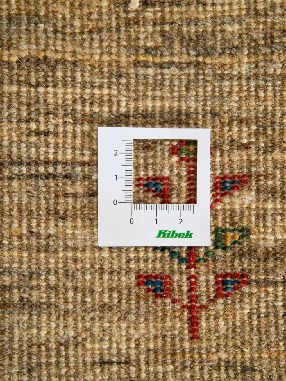 Persischer Loribaff
