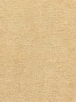Persischer Loribaff