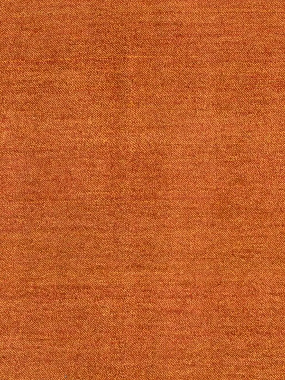 Persischer Loribaff