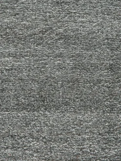 Puri