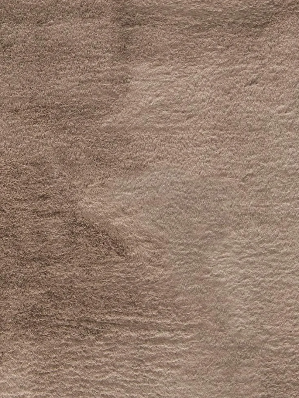 Ranua