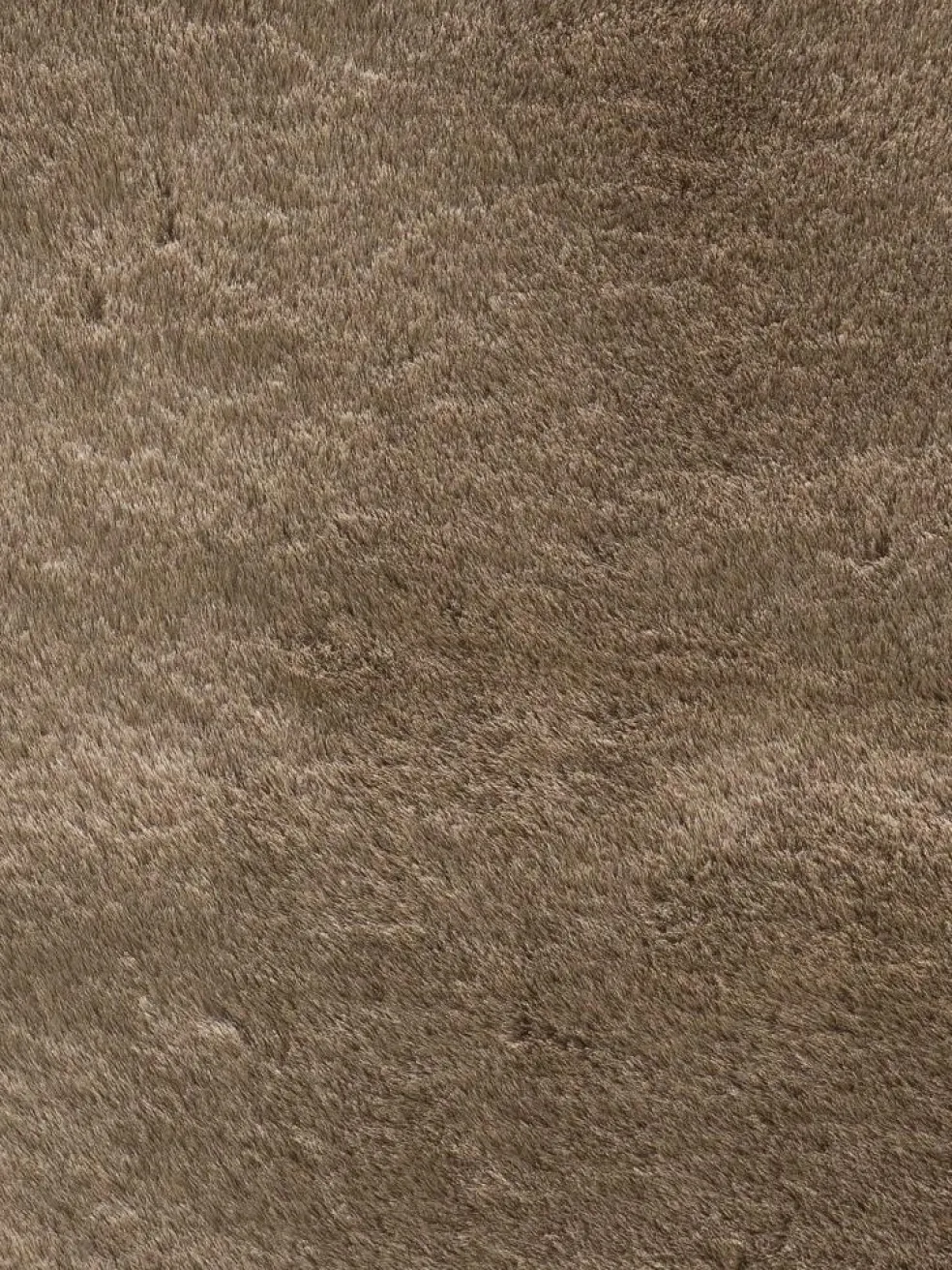 Ranua
