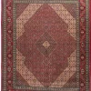 Sarough Mashayekhi